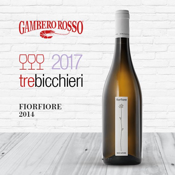 È IL GRECHETTO DI TODI IL “FIORFIORE” DELL’UMBRIA!
