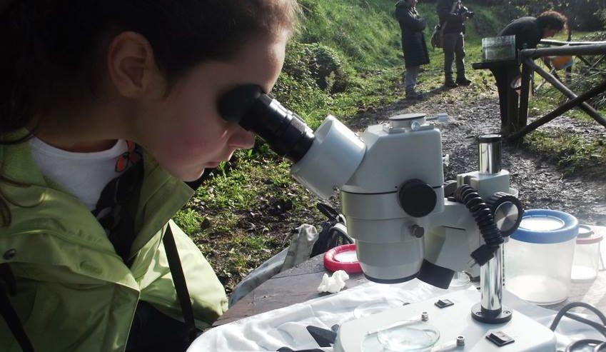 ALVIANO: TRA NATURA E STORIA, TRA CASTELLO E OASI, PER LA PRIMA GIORNATA TANDEM