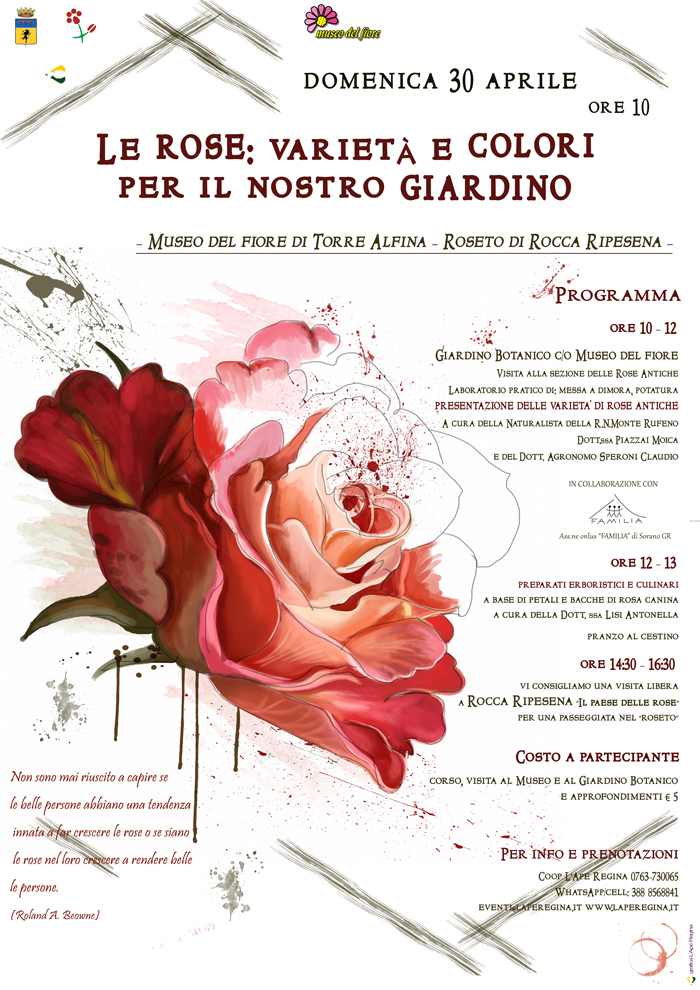 LE ROSE ANTICHE: VARIETA’ E COLORI PER IL NOSTRO GIARDINO.
