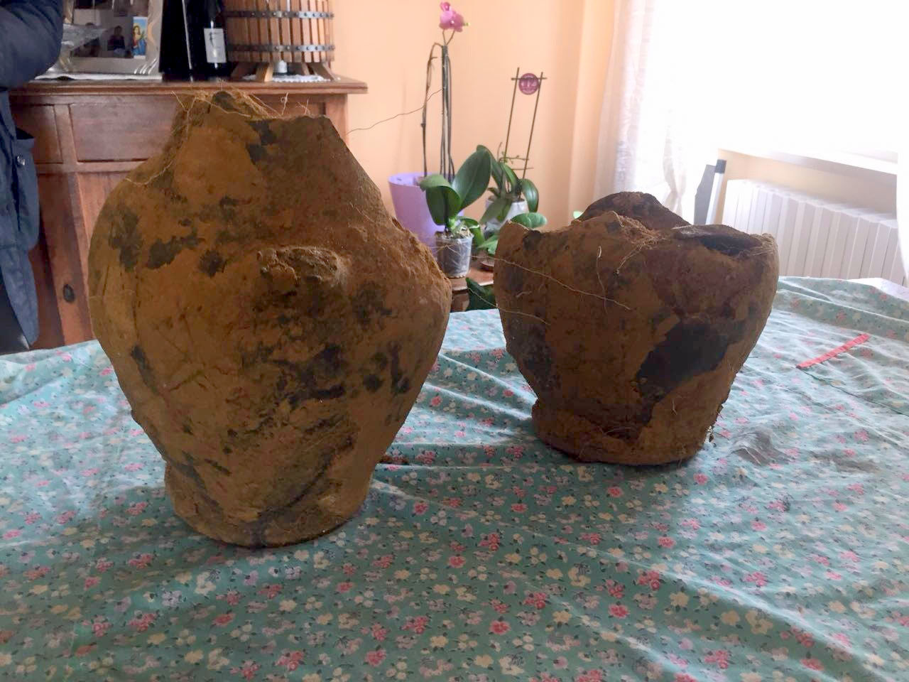 PARRANO, SCOPERTI ANTICHI VASI IN UN TERRENO PRIVATO.