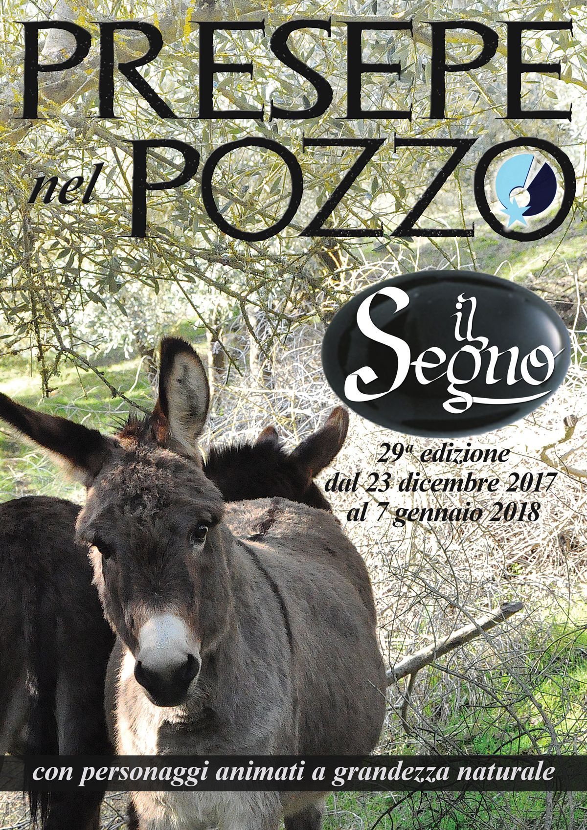 “PRESEPE NEL POZZO”. LA XXIX EDIZIONE E’ INTITOLATA “IL SEGNO”.