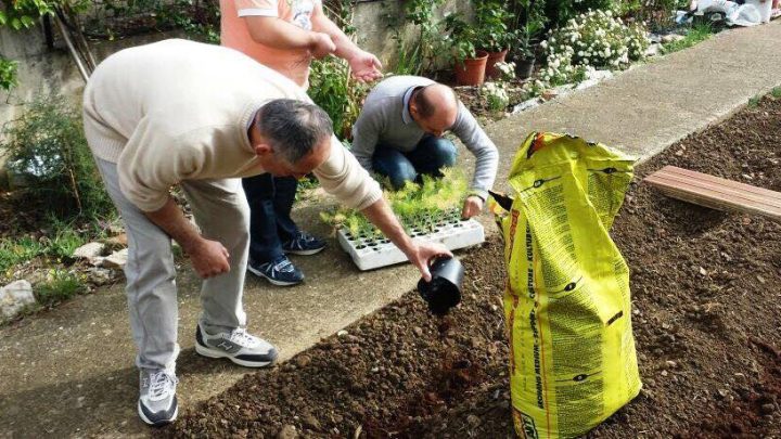 CORONAVIRUS: CONSENTITE COLTIVAZIONE DI ORTI PER AUTOCONSUMO E CURA DEI GIARDINI
