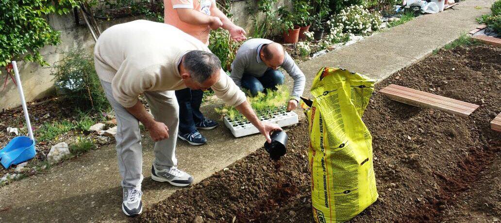 CORONAVIRUS: CONSENTITE COLTIVAZIONE DI ORTI PER AUTOCONSUMO E CURA DEI GIARDINI