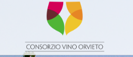 LA RICERCA SCIENTIFICA PER UNA MIGLIORE  VALORIZZAZIONE DELL’ORVIETO.