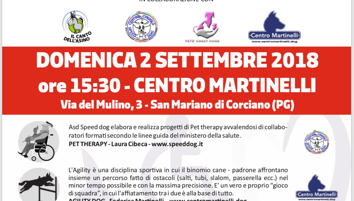 PET’S IN LOVE, COME I NOSTRI AMICI ANIMALI POSSONO DARE UNA “ZAMPA” NELLA DISABILITA’.