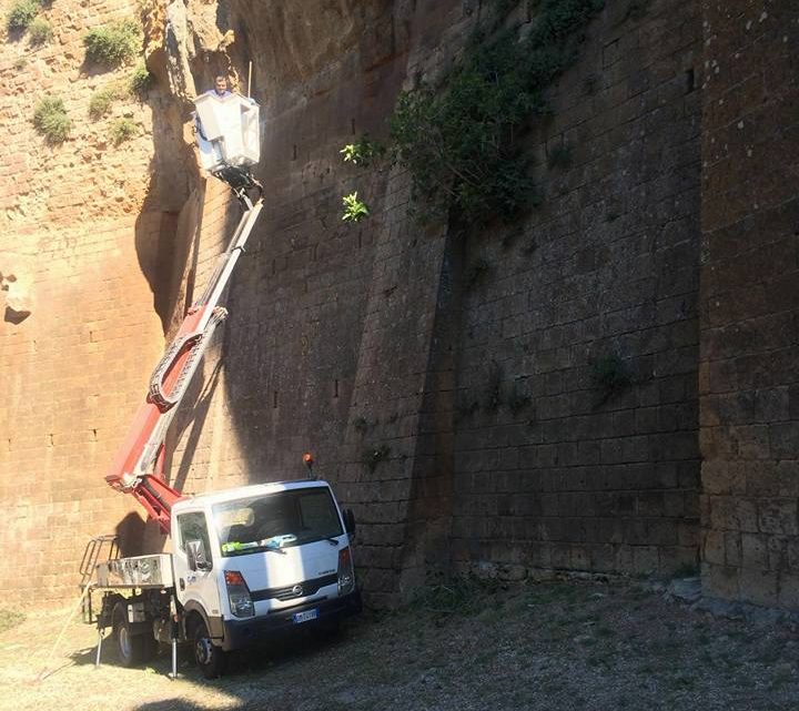 INTERVENTI SUL PATRIMONIO ARBOREO COMUNALE