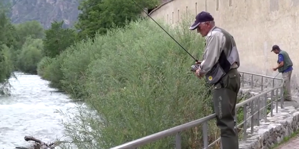 PESCA: AUDIZIONE CONGIUNTA DI SECONDA E TERZA COMMISSIONE SU PROTOCOLLO D’INTESA PER LA PRATICA DELLA PESCA SPORTIVA E RICREATIVA E TUTELA DELLA FAUNA ITTICA