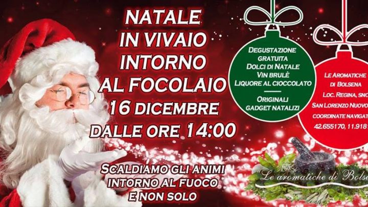 NATALE IN VIVAIO INTORNO AL FOCOLAIO.