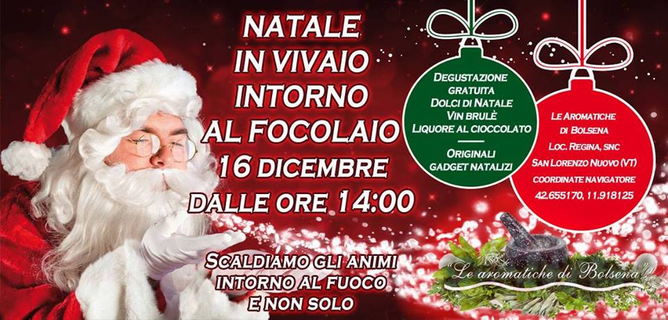 NATALE IN VIVAIO INTORNO AL FOCOLAIO.
