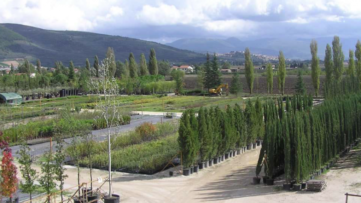 UMBRAFLOR, 3 SINDACI CHIEDONO INCONTRO ALLA REGIONE