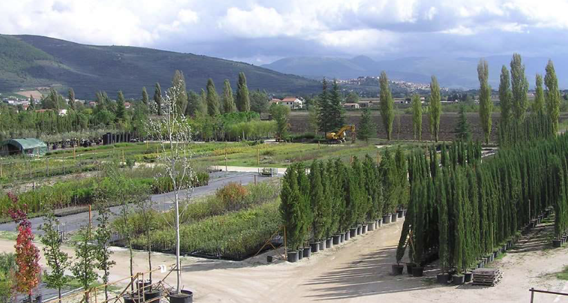 UMBRAFLOR, 3 SINDACI CHIEDONO INCONTRO ALLA REGIONE
