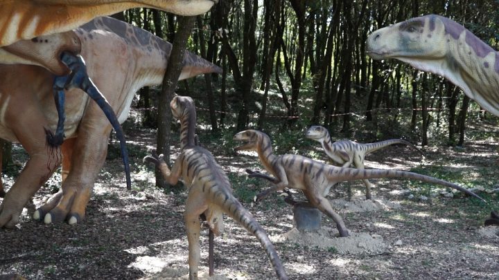 AMELIA, “WORLD OF DINOSAURS” APERTA FINO A MARZO
