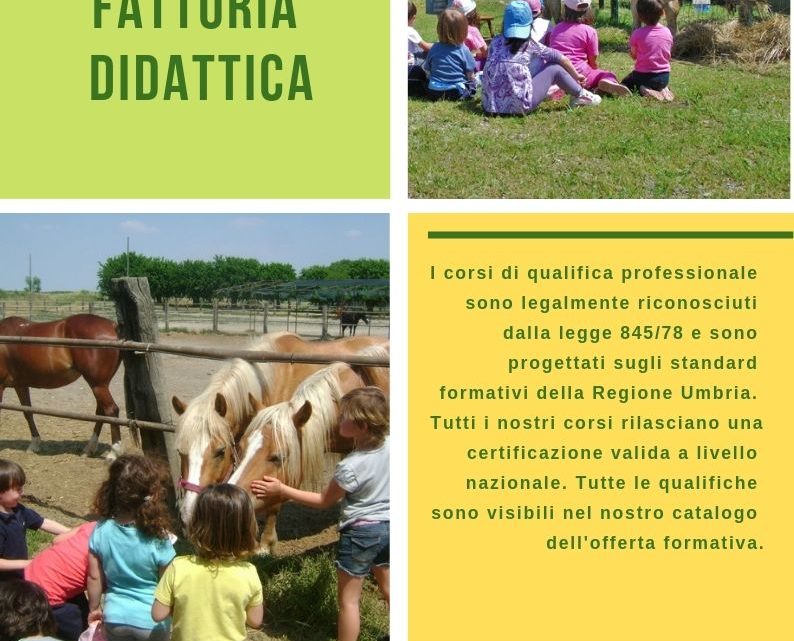 FATTORIE DIDATTICHE: UNA ESPERIENZA NEL MONDO AGRICOLO DA VIVERE IN UMBRIA