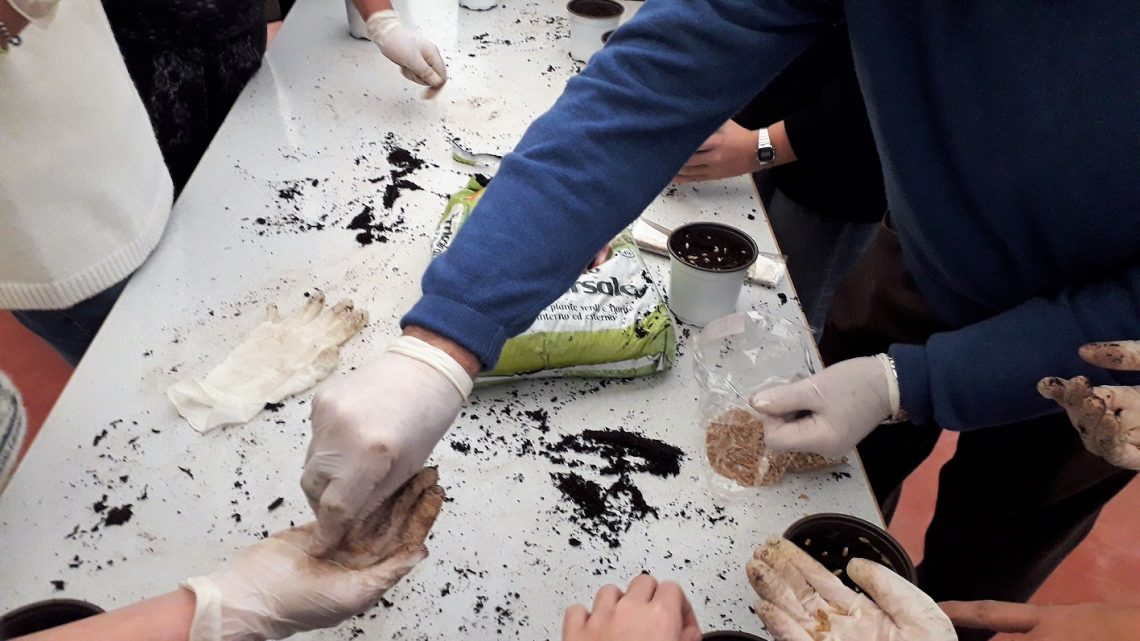 ORTI IN CITTÀ, AL QUASAR VILLAGE UNA DOMENICA DEDICATA AL MANGIAR BENE 