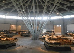 MUSEO PALEONTOLOGICO PIETRAFITTA, GIUNTA REGIONALE APPROVA SCHEMA PROTOCOLLO FINALIZZATO A RIAPERTURA
