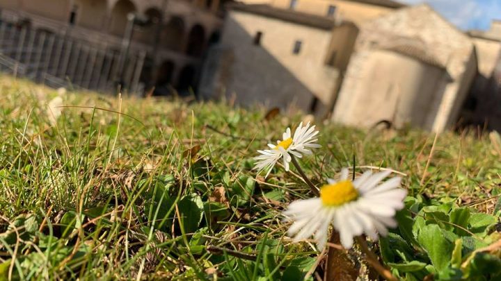 “DALL’ANFITEATRO AL TEATRO. I LUOGHI DEL DIVERTIMENTO NELLA SPOLETO ROMANA”
