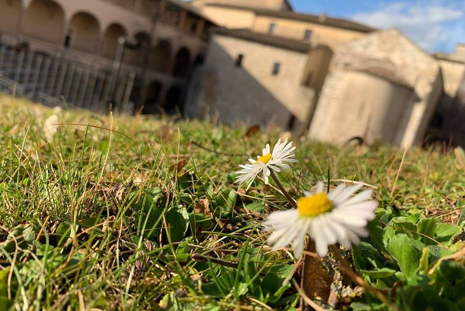 “DALL’ANFITEATRO AL TEATRO. I LUOGHI DEL DIVERTIMENTO NELLA SPOLETO ROMANA”