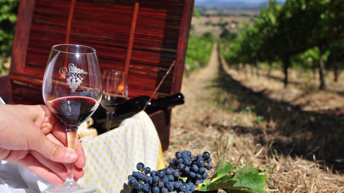 STORIA, TRADIZIONI E NATURA NEI PROSSIMI EVENTI DELLA STRADA DEL SAGRANTINO