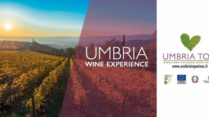 DOPO VINITALY L’UMBRIA DEL VINO NON MANCA AL GRANDE APPUNTAMENTO DEDICATO AL BTOB CHE SI ORGANIZZA A MILANO DAL 6 AL 9 MAGGIO