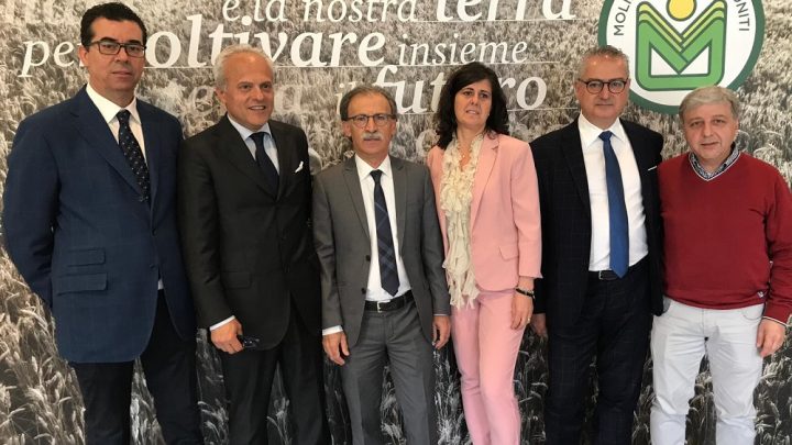 MOLINI POPOLARI RIUNITI, L’ASSEMBLEA APPROVA IL POSITIVO BILANCIO 2018