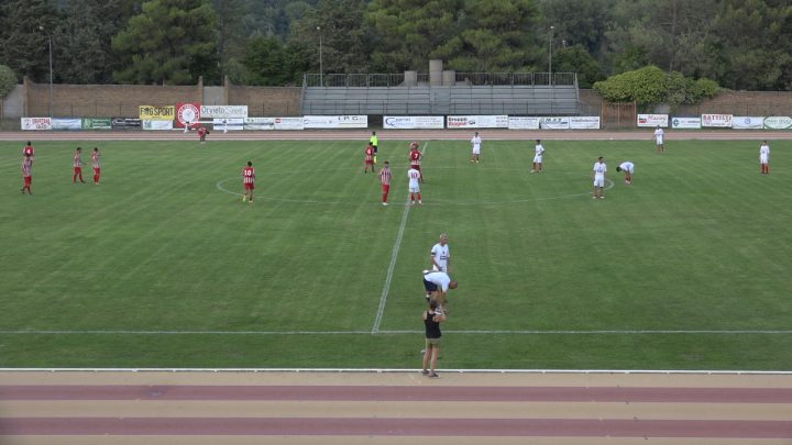 STAGIONE AGONISTICA 2019/2020: UTILIZZO DEI CAMPI DA GIOCO IN ERBA NATURALE E SINTETICA ALLO STADIO “L. MUZI” E NELL’IMPIANTO DI SFERRACAVALLO