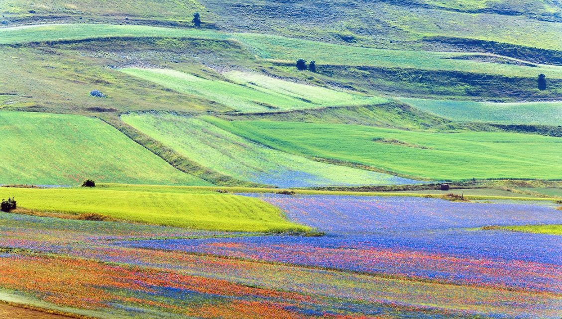 COVID-19, MONTECASTRILLI, FITS 2020: GIORNATA MONDIALE DELLA TERRA CELEBRATA IN CALL CONFERENCE INTERNAZIONALE
