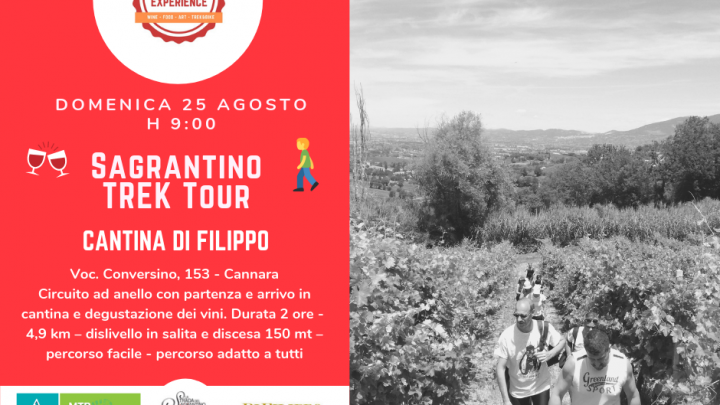 ESTATE TRA LE VIGNE: NUOVO APPUNTAMENTO CON SAGRANTINO EXPERIENCE