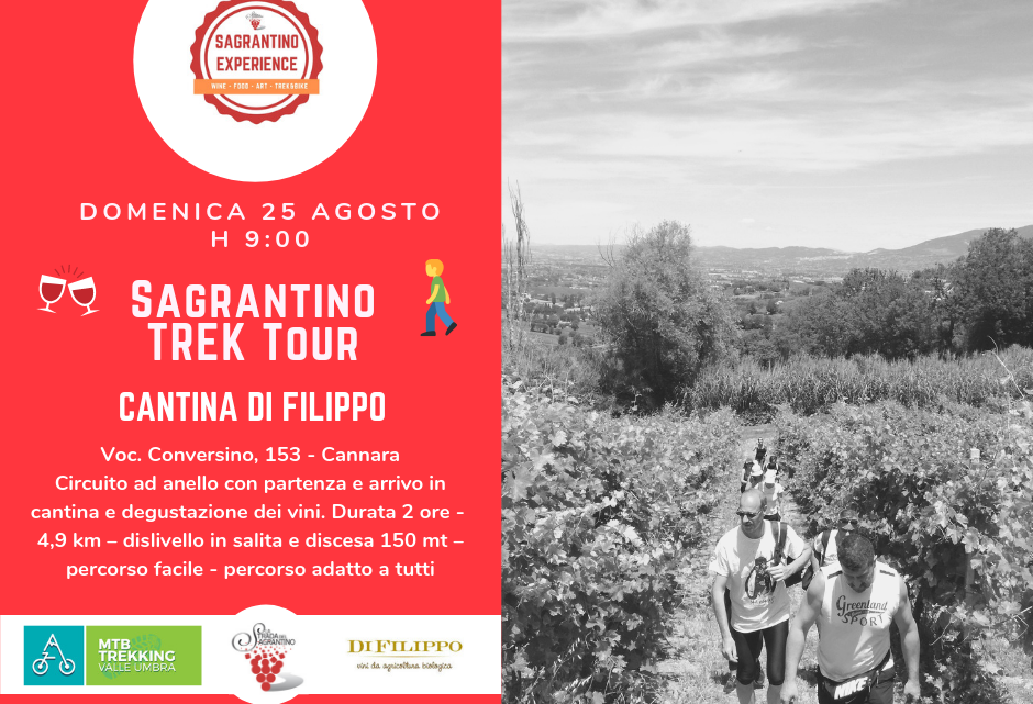 ESTATE TRA LE VIGNE: NUOVO APPUNTAMENTO CON SAGRANTINO EXPERIENCE