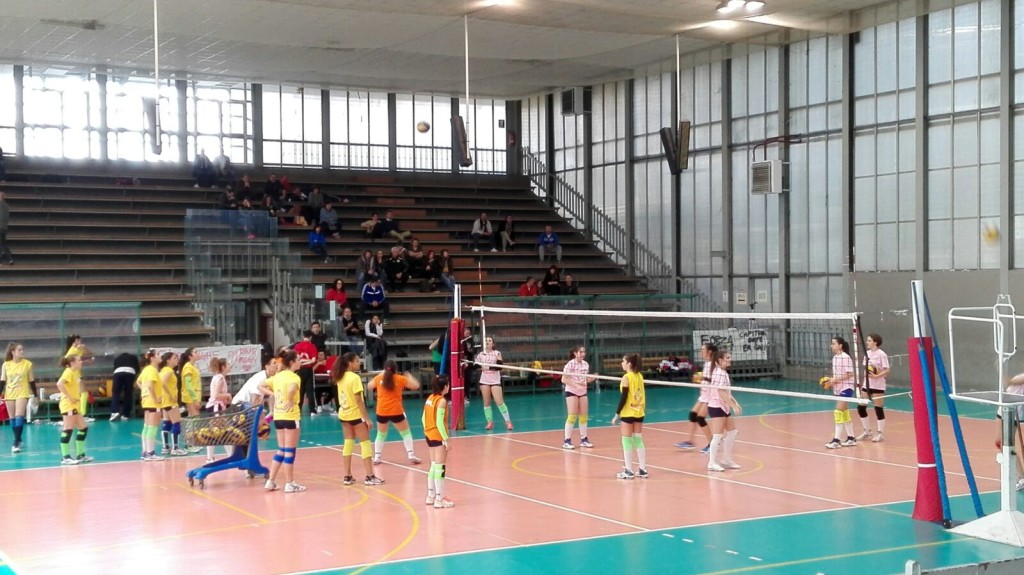 SPORT, PROVINCIA PUBBLICA AVVISO PER AFFIDAMENTO DIRETTO PALESTRE TERNI E AMELIA 