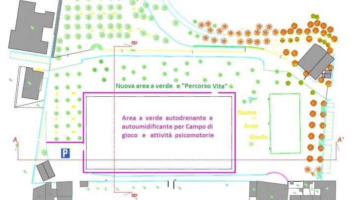 PARCO DEL PINARO, AL VIA CON LA RIQUALIFICAZIONE E MESSA IN SICUREZZA DEGLI ALBERI 