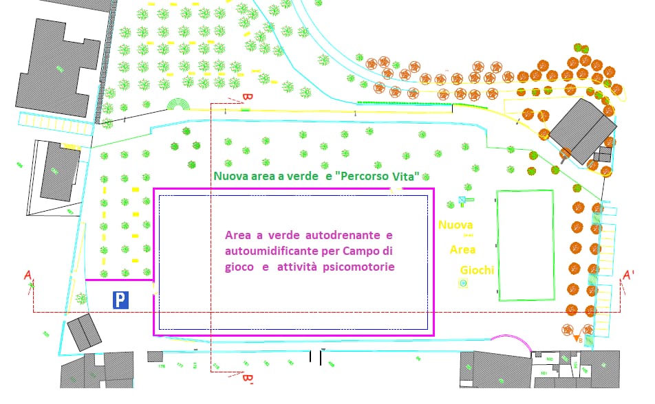 PARCO DEL PINARO, AL VIA CON LA RIQUALIFICAZIONE E MESSA IN SICUREZZA DEGLI ALBERI 