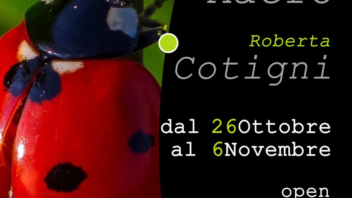 AL PALAZZO DEI SETTE MOSTRA DI MACROFOTOGRAFIA NATURALISTICA “COLORI IN MACRO”