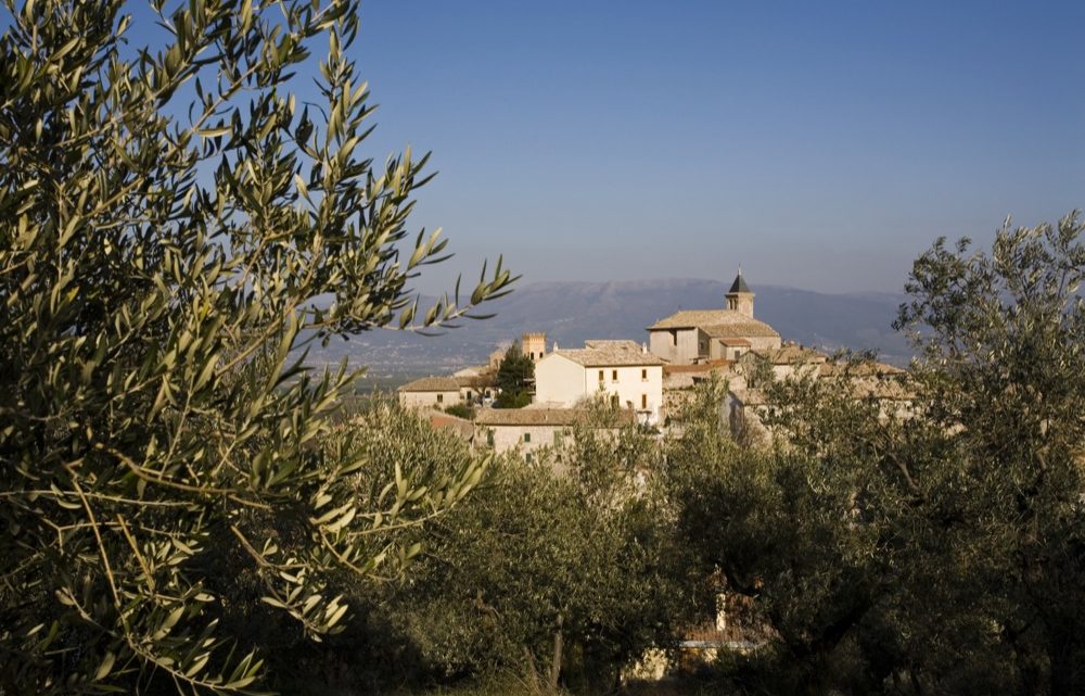 “RIEVOCAZIONE DELLA FESTA DELLA FRASCA “  AL VIA DOMANI, SABATO 23 NOVEMBRE, A GIANO DELL’UMBRIA  I FESTEGGIAMENTI PER LA “BENFINITA” DELLA RACCOLTA DELLE OLIVE