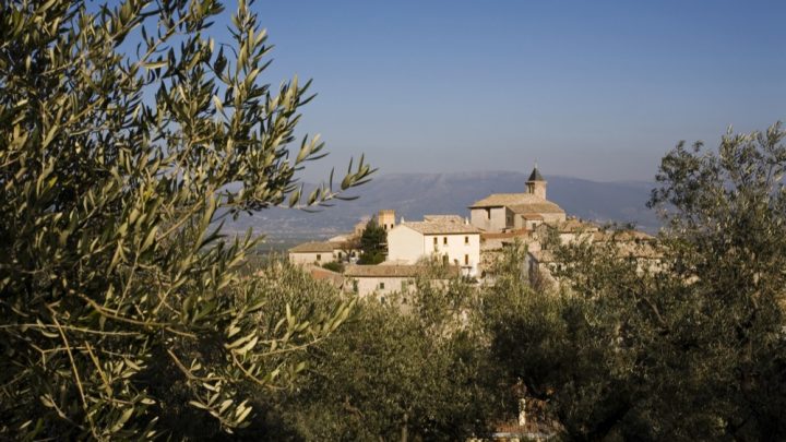 “RIEVOCAZIONE DELLA FESTA DELLA FRASCA “  AL VIA DOMANI, SABATO 23 NOVEMBRE, A GIANO DELL’UMBRIA  I FESTEGGIAMENTI PER LA “BENFINITA” DELLA RACCOLTA DELLE OLIVE