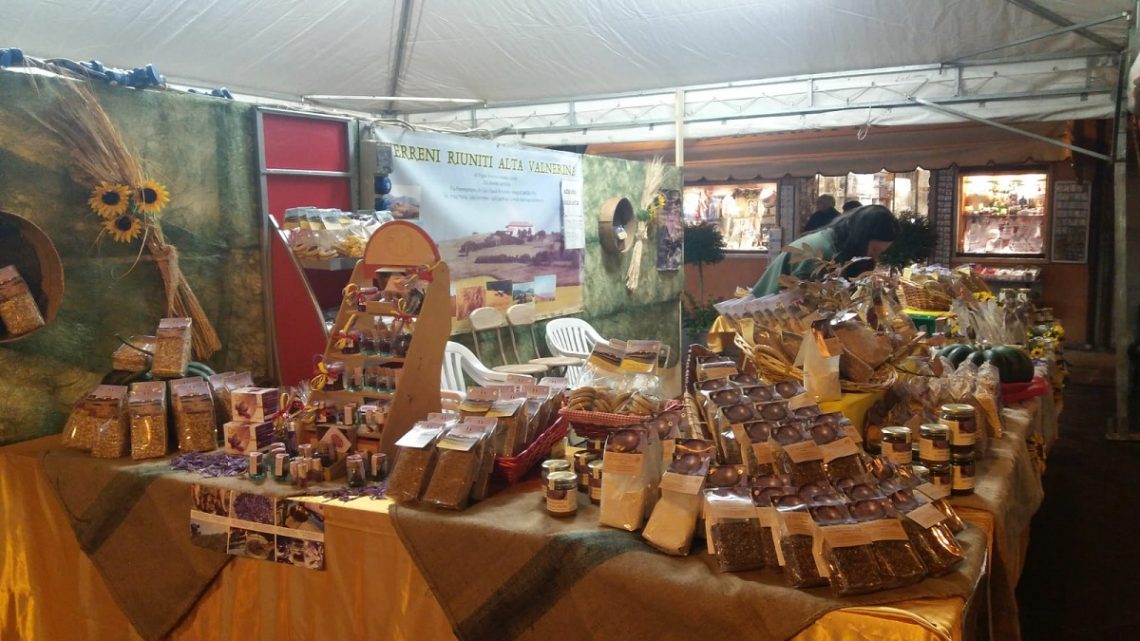 “INDIETRO NEL TEMPO” – MERCATINO DI ANTIQUARIATO, COLLEZIONISMO, RIGATTERIA, MODERNARIATO E ARTIGIANATO 1^ EDIZIONE