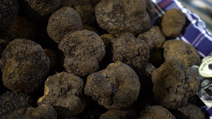 FABRO, IL COMUNE PUNTA SUL TARTUFO E SULL’ASSOCIAZIONE NAZIONALE CHE RAGGRUPPA LE 67 MIGLIORI CITTÀ ITALIANE