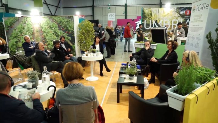 BIOECONOMIA, PRESENTATO IL PROGETTO ‘FORTE’ SULLA FILIERA A OLEAGINOSE