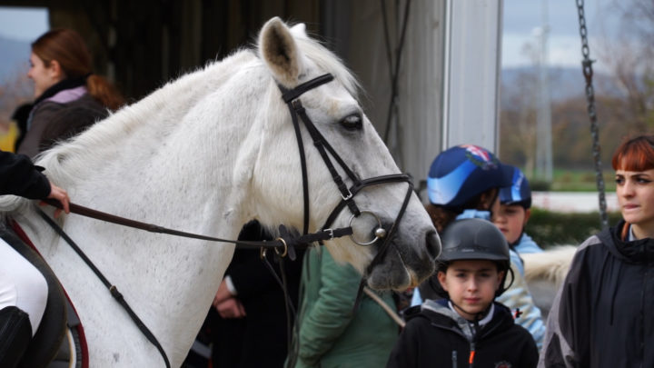 EQUITAZIONE, OLTRE 100 ATLETI DA TUTTA L’UMBRIA NEL CIRCUITO MULTIDISCIPLINARE