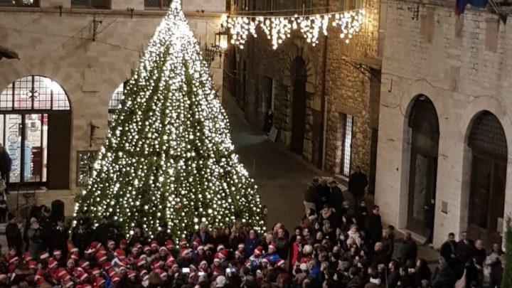 GEMELLAGGIO ASSISI-BETLEMME:  UN LEGAME DI PACE E SPERANZA ACCESI L’ECOALBERO E IL BOSCO INCANTATO