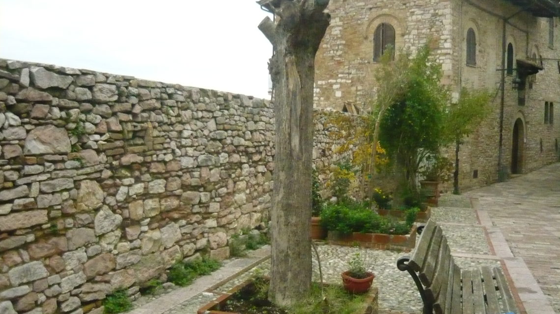 IL COMUNE PUNTA SUL VERDE E LO DIMOSTRANO I FATTI  A VICOLO SANT’ANDREA TAGLIATO IL FUSTO  DI UNA PIANTA (LIGUSTRO) GIA’ MORTA  ORA SI PROVVEDERA’ A RIPIANTUMARE UN TIGLIO
