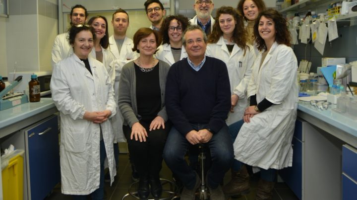 INDIVIDUATO NUOVO MECCANISMO MOLECOLARE NELLO SVILUPPO DEI TUMORI