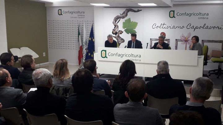 CORONAVIRUS, CONFAGRICOLTURA UMBRIA CHIEDE DI NON ABBASSARE LA GUARDIA.