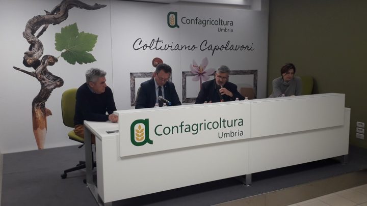 DANNI DA FAUNA SELVATICA: CONFAGRICOLTURA UMBRIA APPLAUDE LA VOLONTÀ DELL’ASSESSORATO REGIONALE ALL’AGRICOLTURA DI VOLTARE PAGINA E DI PROCEDERE CON UNA REALE GESTIONE DELLA MATERIA FAUNISTICO VENATORIA CON PARTICOLARE RIFERIMENTO ALLE SPECIE CHE CREANO MAGGIORI PROBLEMI COME I CINGHIALI.