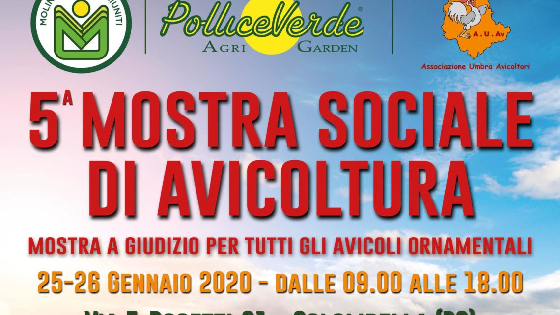 ANNO NUOVO, VITA NUOVA PER IL ‘POLLICE VERDE’ DELLA MOLINI POPOLARI RIUNITI