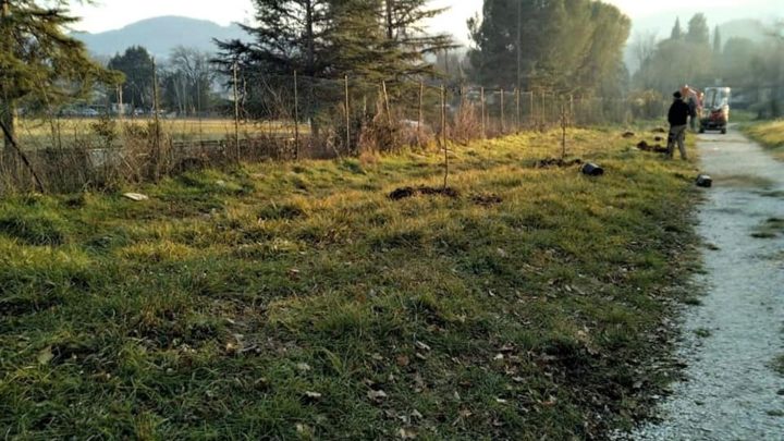 NARNI, INIZIATA PIANTUMAZIONE ALBERI A PARCO DEI PINI DONATELLI, COMUNE RIFARÀ ANCHE GIOCHI PER BAMBINI