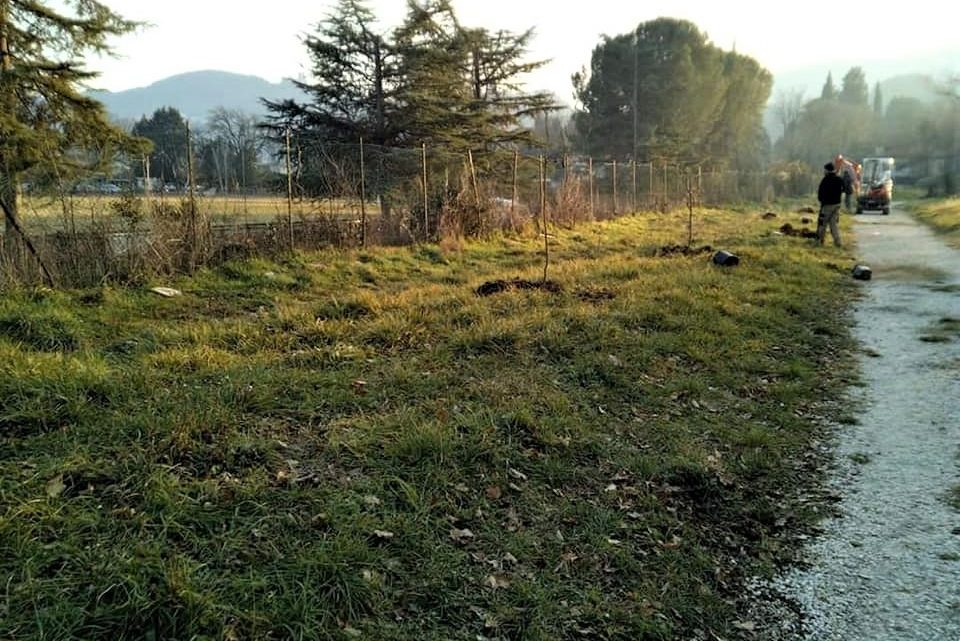 NARNI, INIZIATA PIANTUMAZIONE ALBERI A PARCO DEI PINI DONATELLI, COMUNE RIFARÀ ANCHE GIOCHI PER BAMBINI