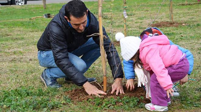 NARNI, COMUNE APRE REGISTRO ALBERI AUTOCTONI PER ASSEGNAZIONE A NEONATI