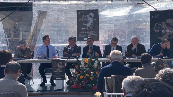 TARTUFO, NERO NORCIA FA IL PUNTO SULLE OPPORTUNITÀ PER I TERRITORI