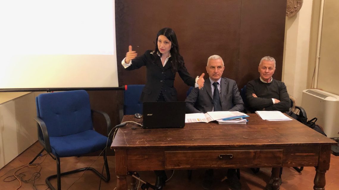 REGOLAMENTAZIONE DEL TRAFFICO NEL CENTRO STORICO DI ASSISI  MODULATA SU BASSA E ALTA STAGIONE