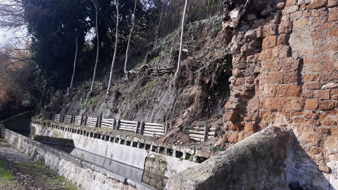 RIMOSSE LE PIANTE CADUTE IN LOCALITÀ FONTANA DEL LEONE